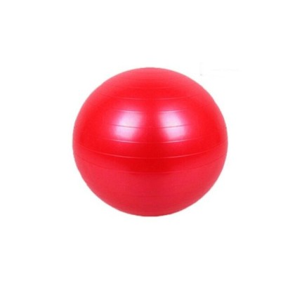 Pilates Bobath Topu (65cm)